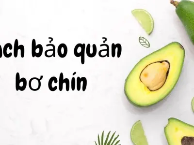 Cách bảo quản bơ chín đúng cách tránh úng thối và chảy nhựa