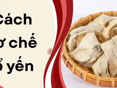 Cách sơ chế tổ yến nhanh đúng chuẩn ai cũng áp dụng
