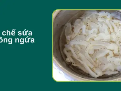 Học bí quyết làm sứa hết nhớt, giòn sần sật tôi đã thử hiệu quả